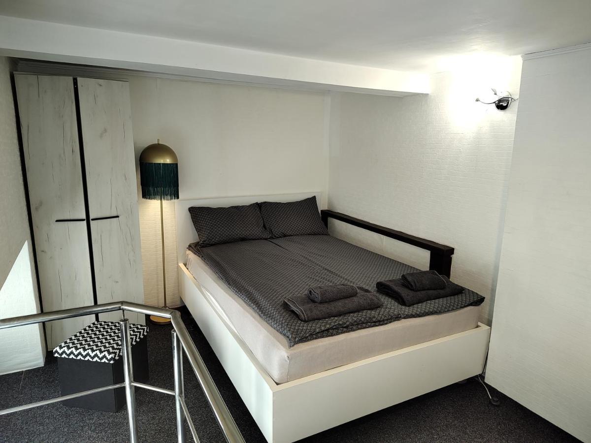 Elefant Apartment Baia Mare Bagian luar foto