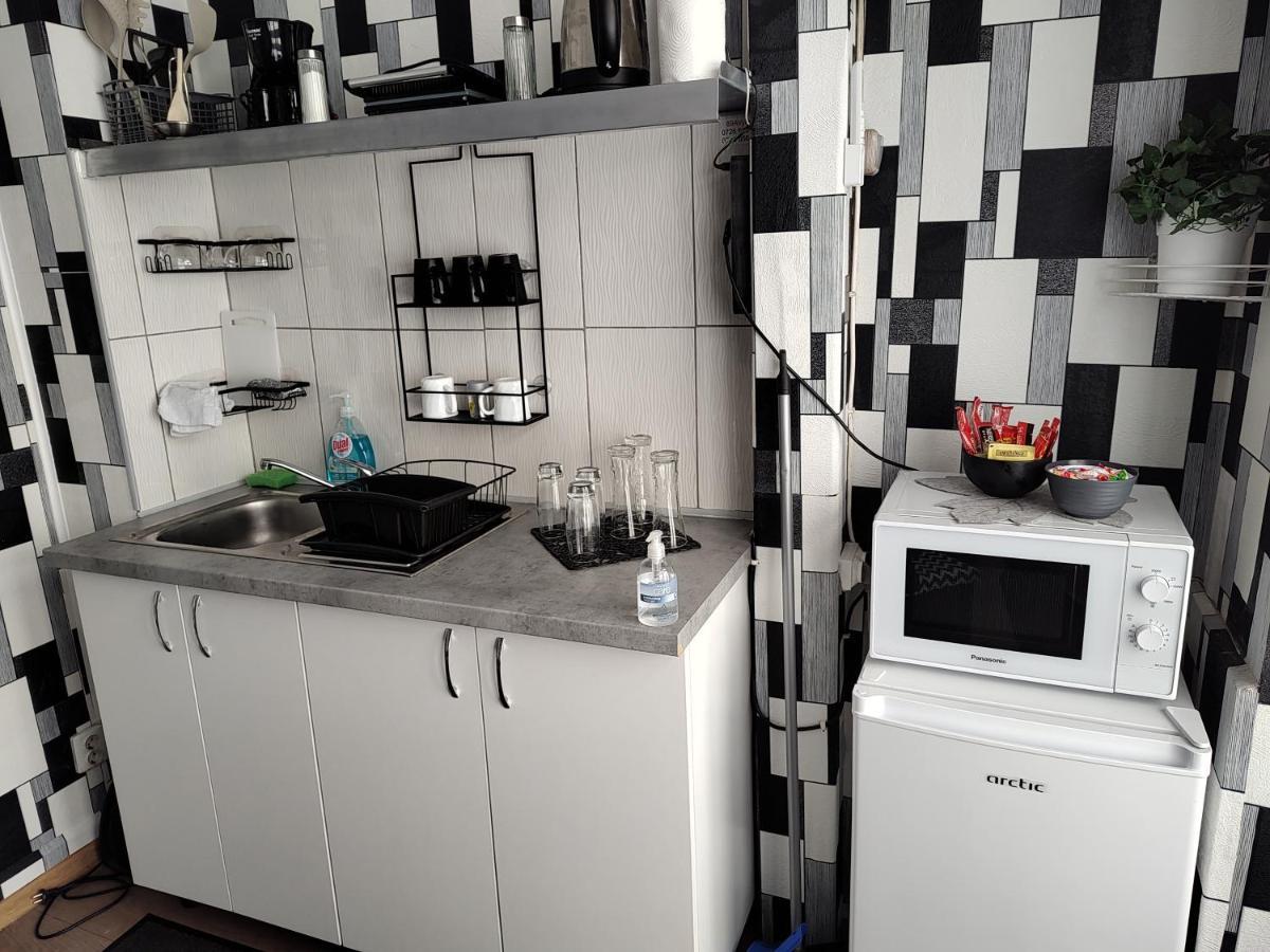 Elefant Apartment Baia Mare Bagian luar foto